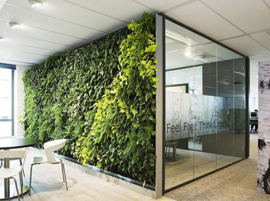 Xu hướng văn phòng xanh tại Việt Nam